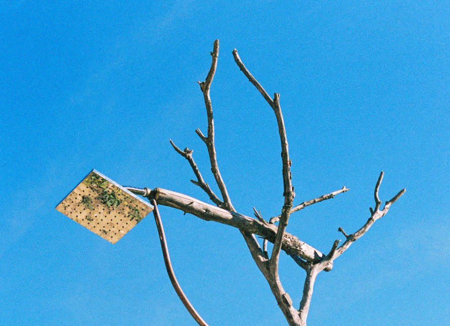 Into 2026: What We’re Embracing, What We’re Letting Go